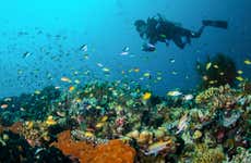 Discover Scuba Dive in Lombok