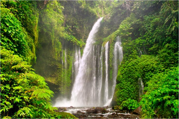 Excursión privada a las cascadas Sendang Gile y Tiu Kelep