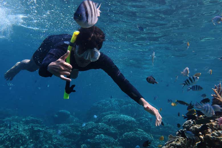Snorkel with fish