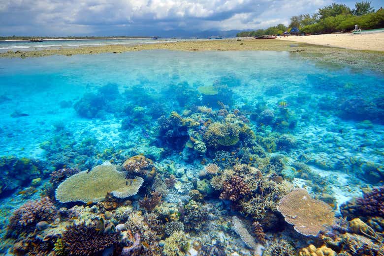 Le fond marin de Gili Trawangan