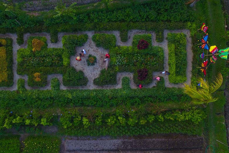 Overlooking Narmada Garden