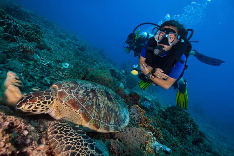 Scuba diving in Lombok