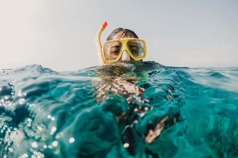 Practicando snorkel en Pink Beach