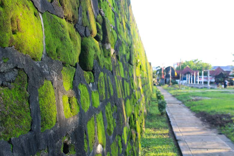 Recorriendo los alrededores del fuerte de Róterdam