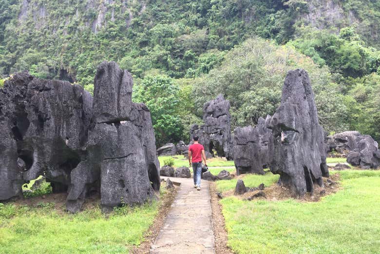 Paseando por el bosque prehistórico de Leang-Leang