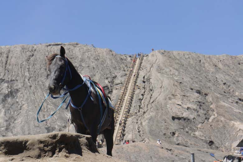 Últimos escalones hasta la cima