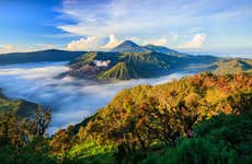 Mount Bromo Private Hiking Activity