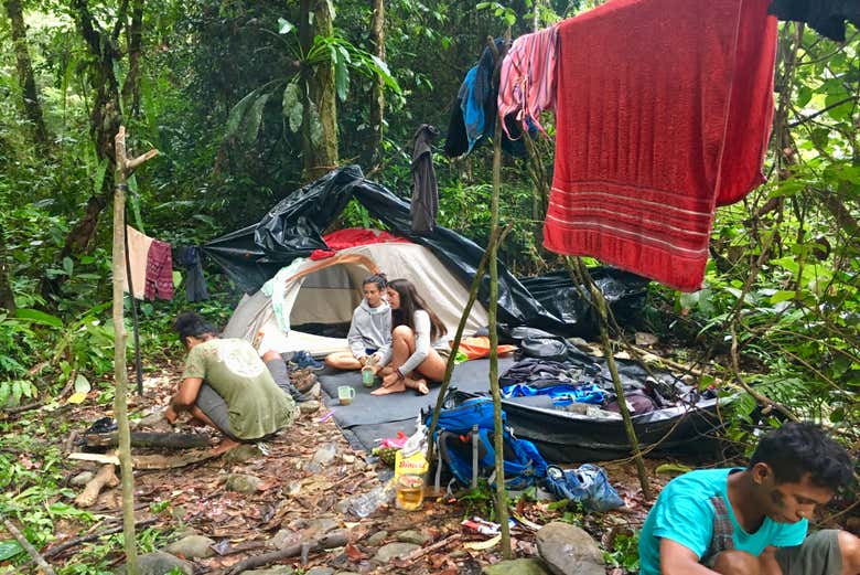 Camping en la selva
