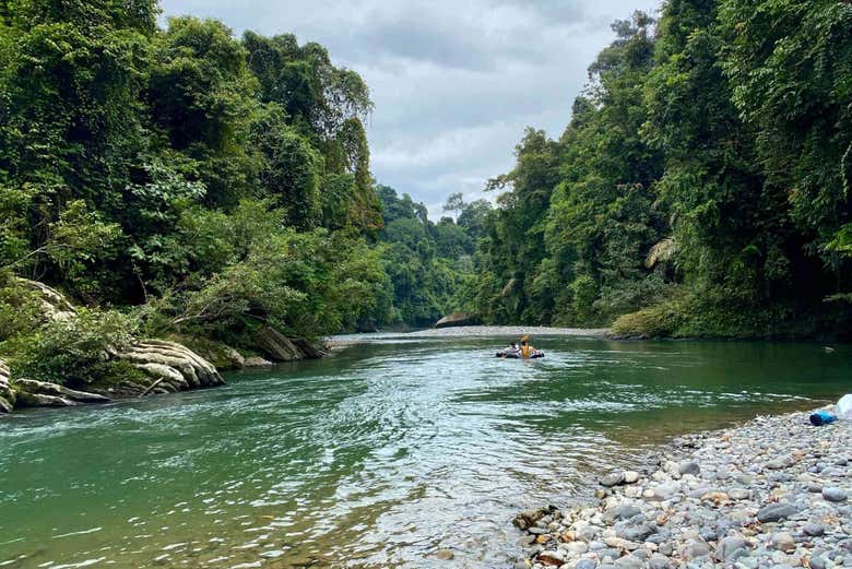 Paisajes de Gunung Leuser