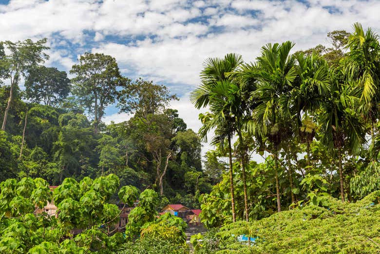 Parque Nacional de Gunung Leuser