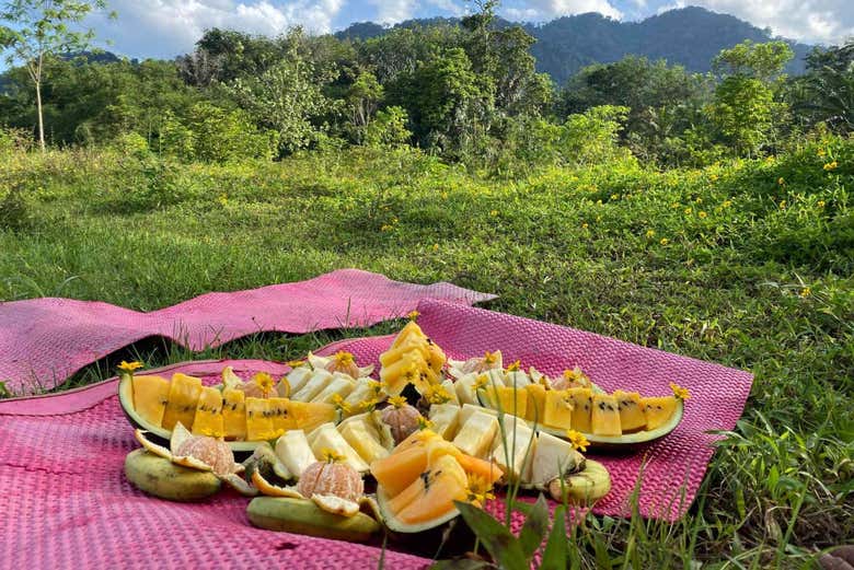 Tomando un snack en la selva