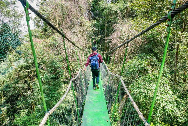 Puentes colgantes del Parque de Gunung Leuser