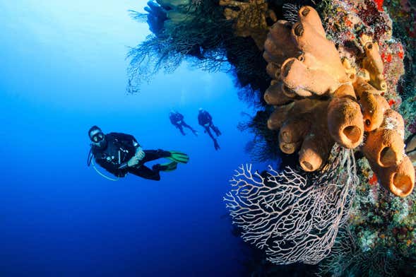 Plongée à Nusa Lembongan