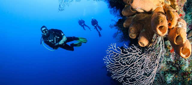 Buceo en Nusa Lembongan