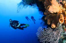 Buceo en Nusa Lembongan