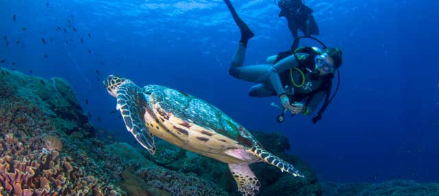 Curso PADI Discover Scuba Diving