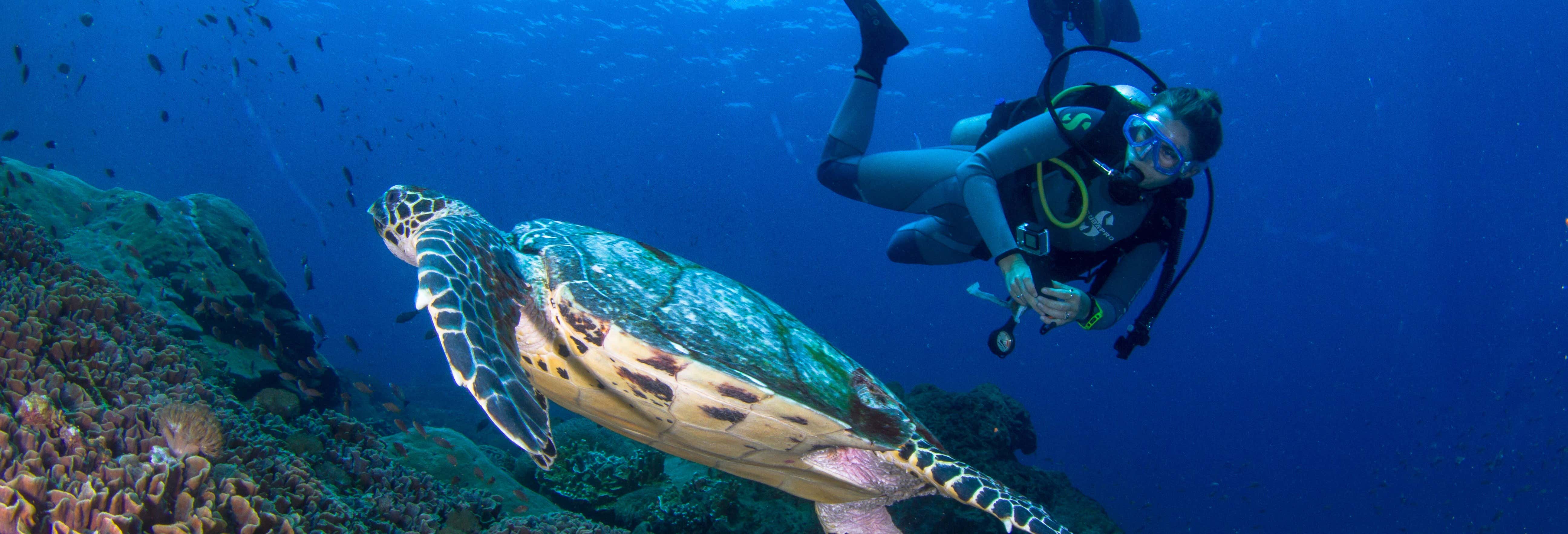 Buceo en Nusa Lembongan