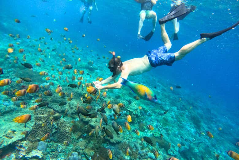 Disfrutando del fondo marino de Nusa Lembongan