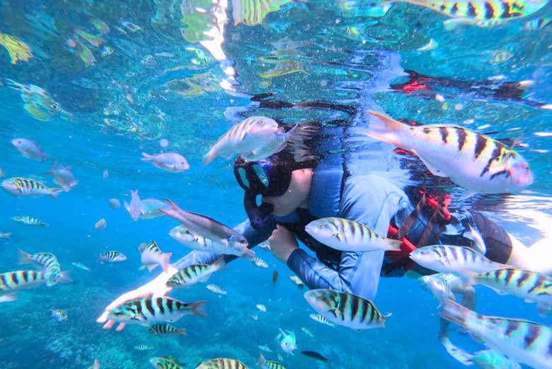 Haciendo snorkel en Nusa Lembongan