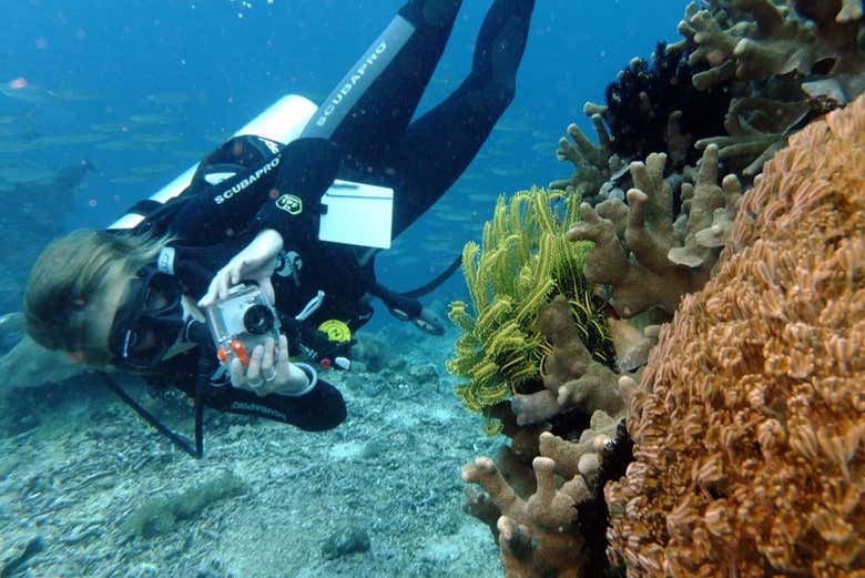 Inmortalizando la inmersión