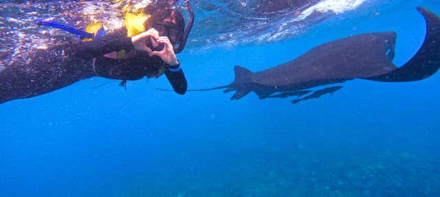 Snorkel em Nusa Lembongan