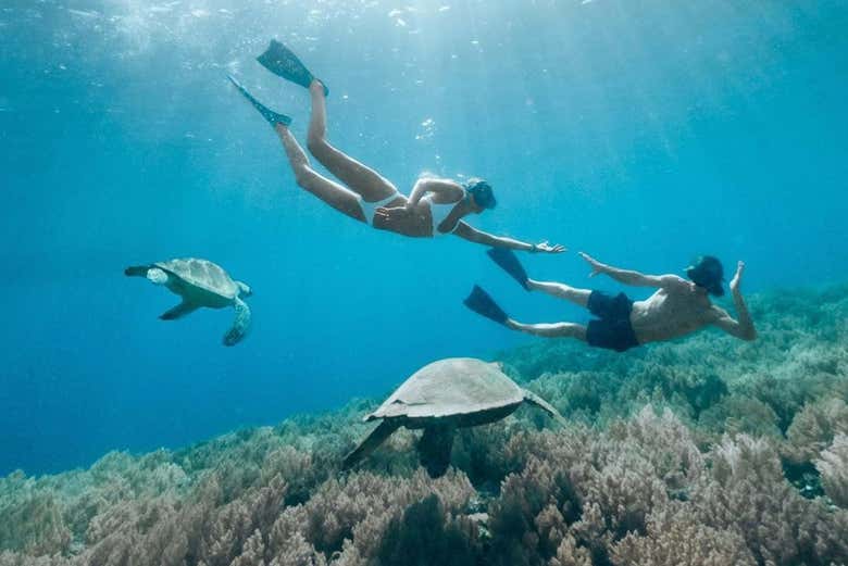 Disfrutando de la actividad de snorkel