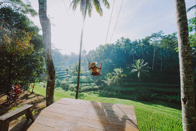 Swing in Ubud, Bali