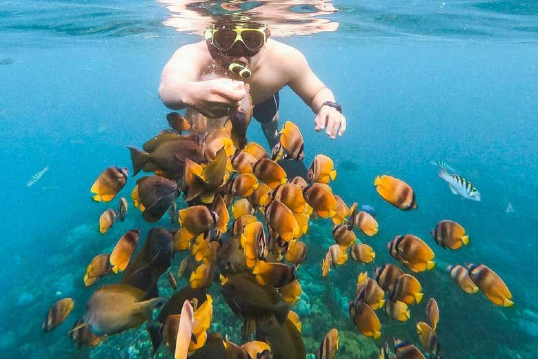 Practicando snorkel en la isla indonesia de Nusa Penida