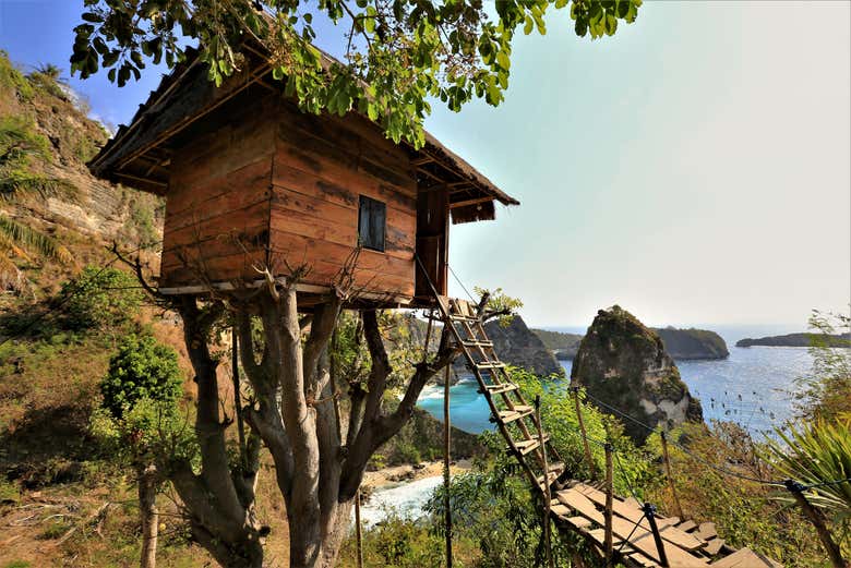 Mirador de la Tree House