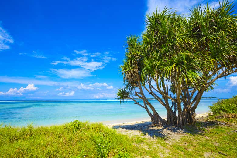Spiaggia delle isole Gili