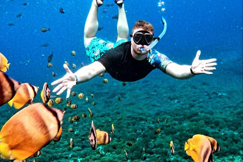 ¡Os lo pasaréis en grande bajo el agua!