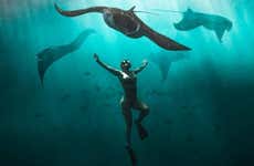 Snorkel con mantarrayas en Nusa Penida