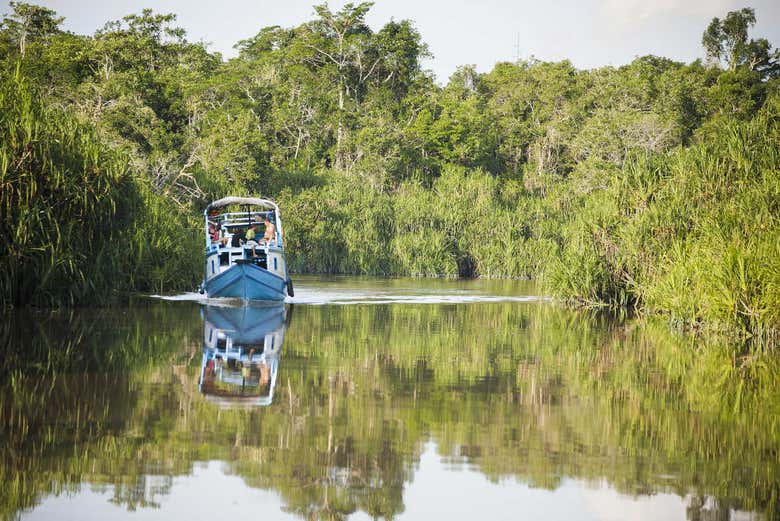 Crucero por el río Sekonyer