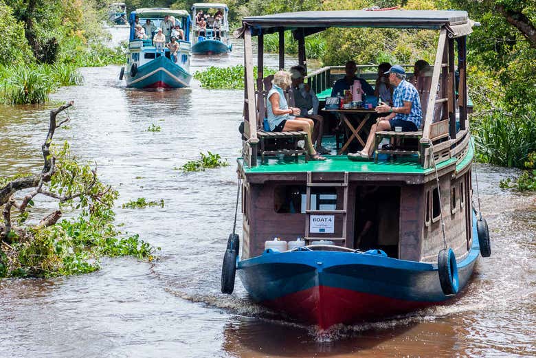 Grupo de klotok por el río Sekonyer