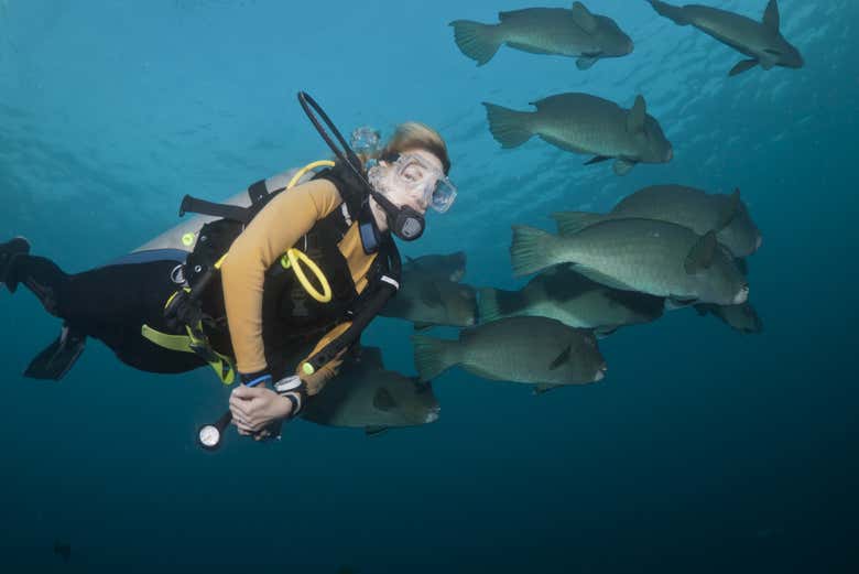 Mergulhando com peixes em Bali