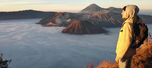 Excursion privée au mont Bromo au lever du soleil et aux cascades de Madakaripura