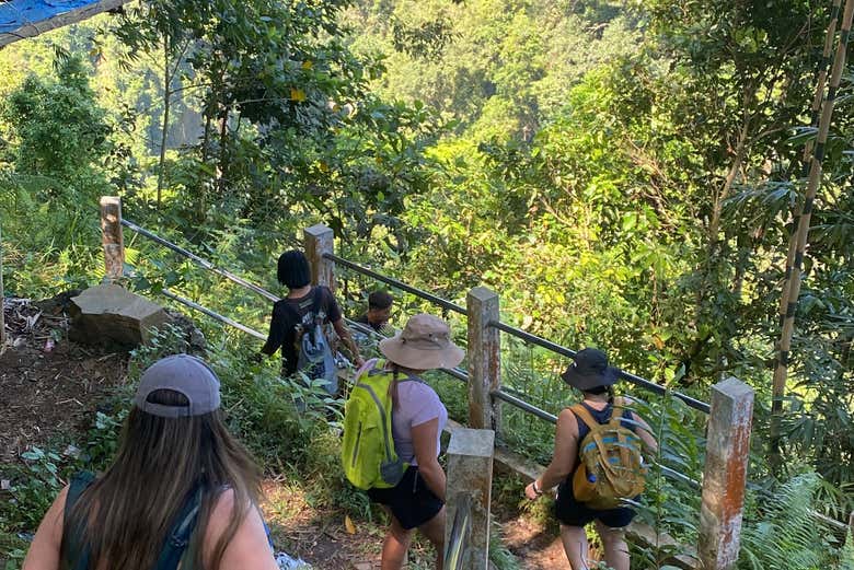 Caminando hacia las cascada de Madakaripura