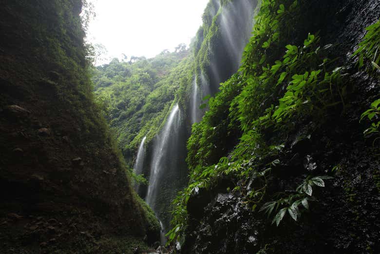 Espectaculares cataratas de Madakaripura
