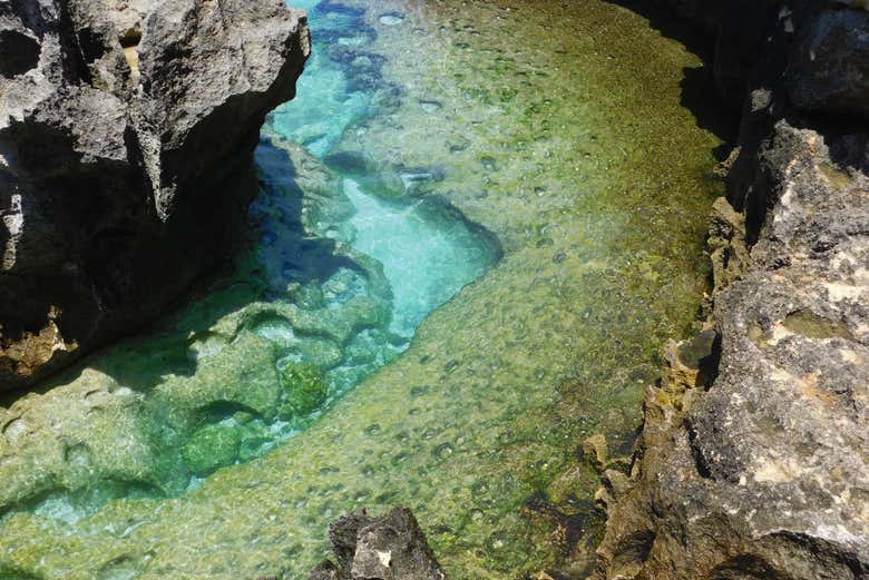 Contemplando las aguas de Angel's Billabong
