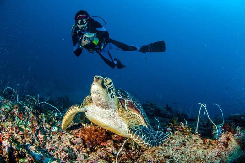 Faire de la plongée de Gili