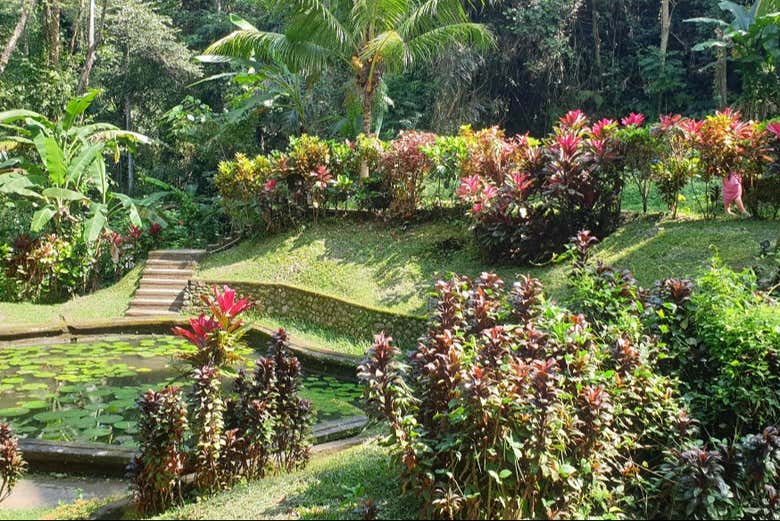 Jardines de la Cueva del Elefante