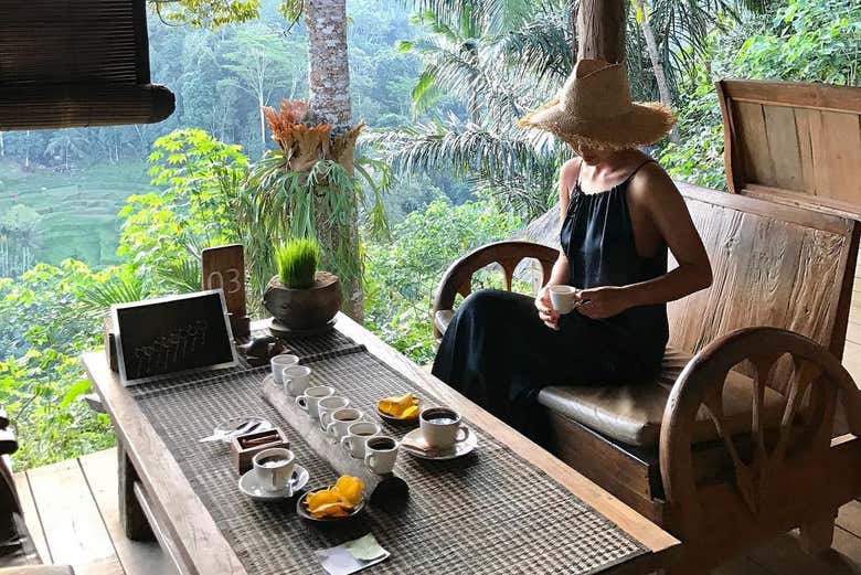 Visitando la granja de café