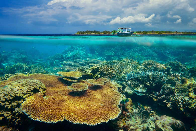 Arrecife de coral cerca de las islas Gili