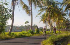 Tour en bicicleta por Ubud y Kintamani
