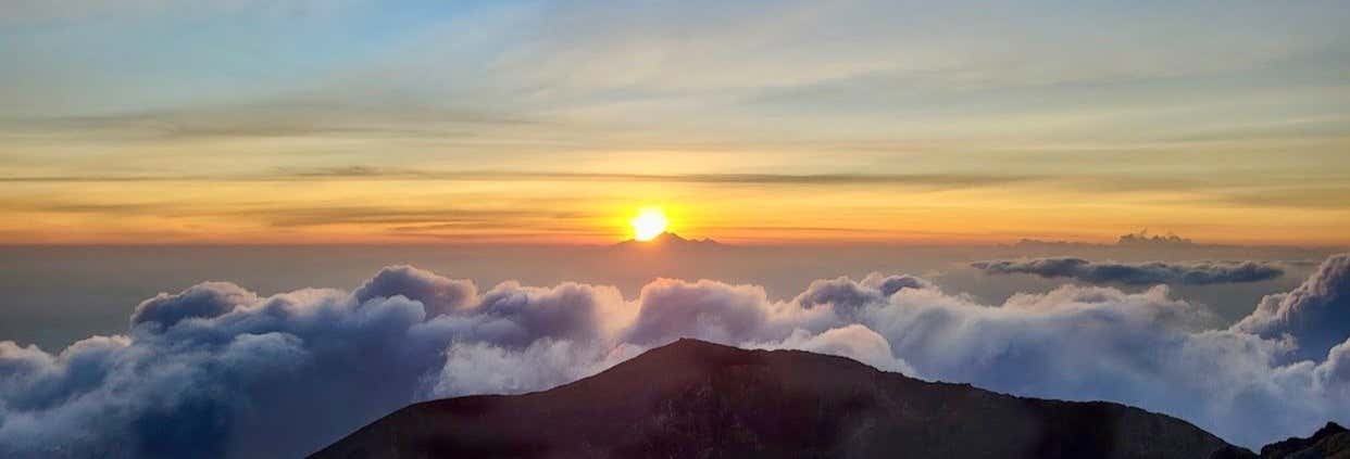 Senderismo / Trekking en Ubud