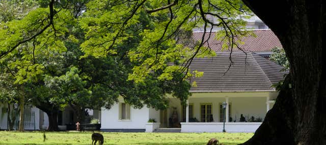 Excursão privada a Bogor e Cisarua