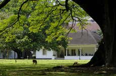 Bogor And Cisarua Private Excursion