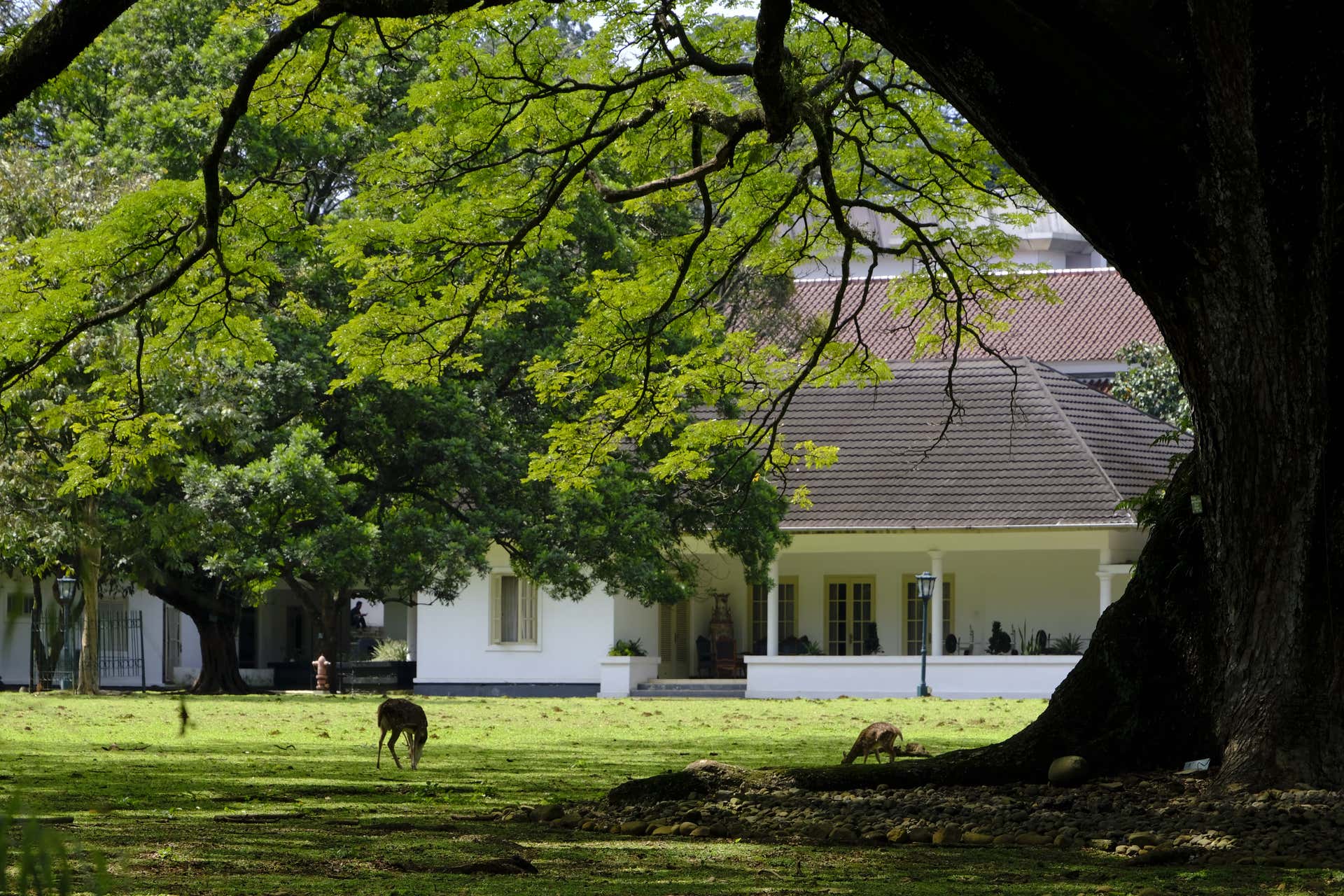Excursão privada a Bogor e Cisarua