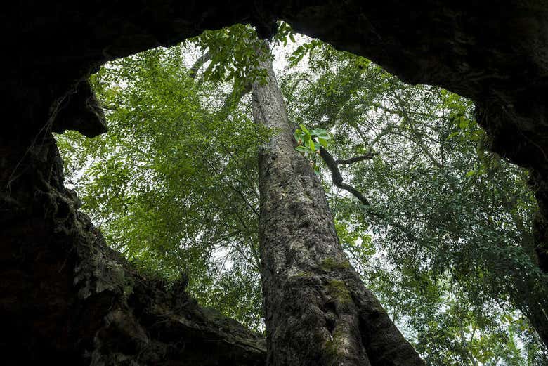 A Caverna Gethuk