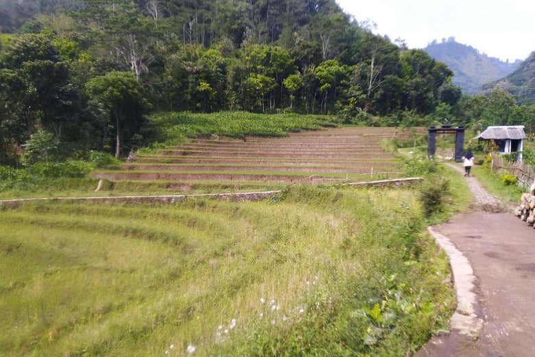 Paisajes durante la ruta de trekking